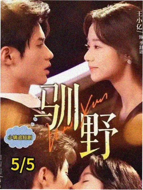 年代家庭群像剧《南方来信》海报